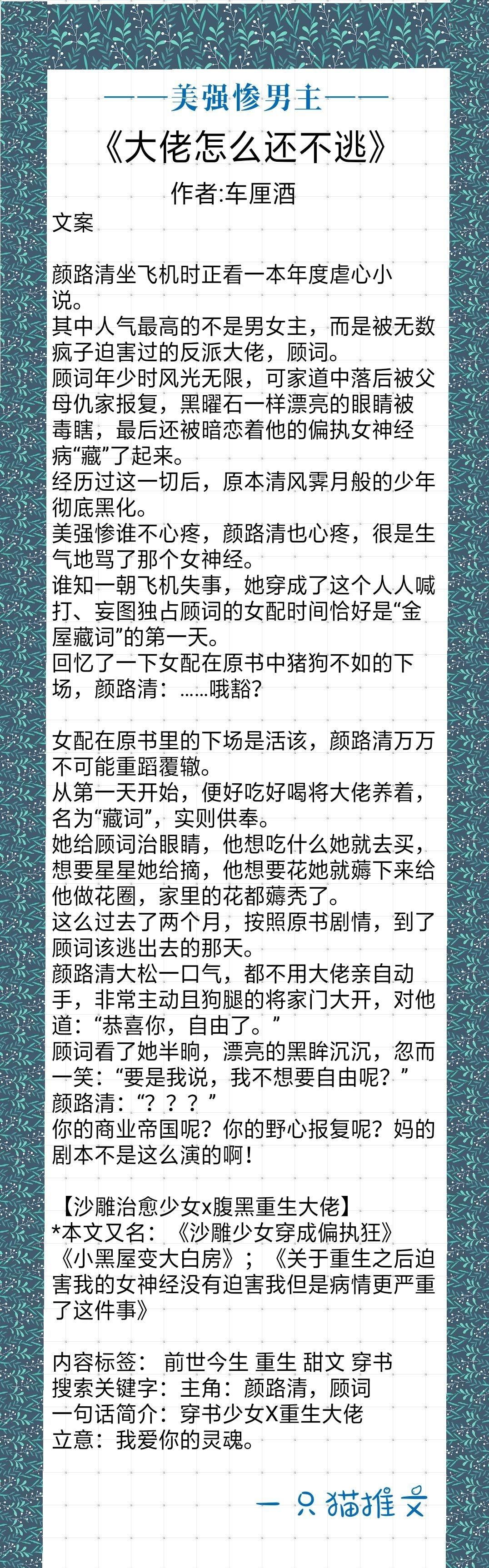 男主美强惨被女主救赎,男主美强惨女主治愈系的小说