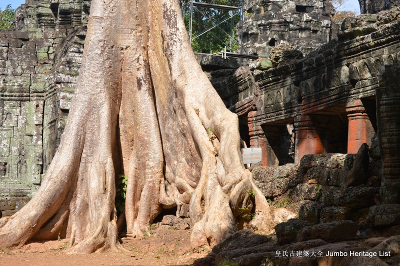 第157回:庙宇神殿湮没丛林,你中有我我中有你