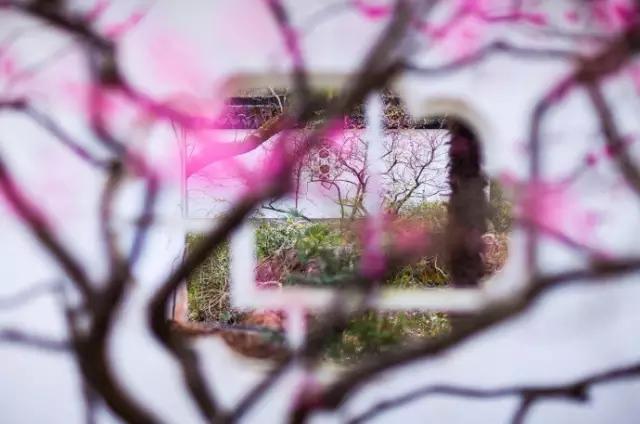 如此才华横溢,才华横溢十首诗