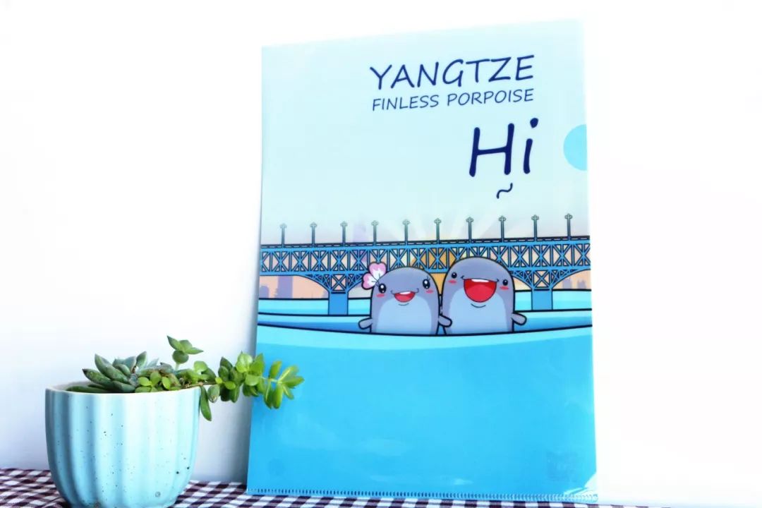 长江江豚吉祥物,南京江豚