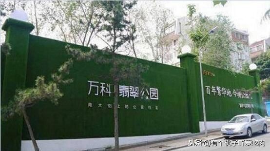 武汉围挡草坪批发,武汉围挡草皮厂家直销