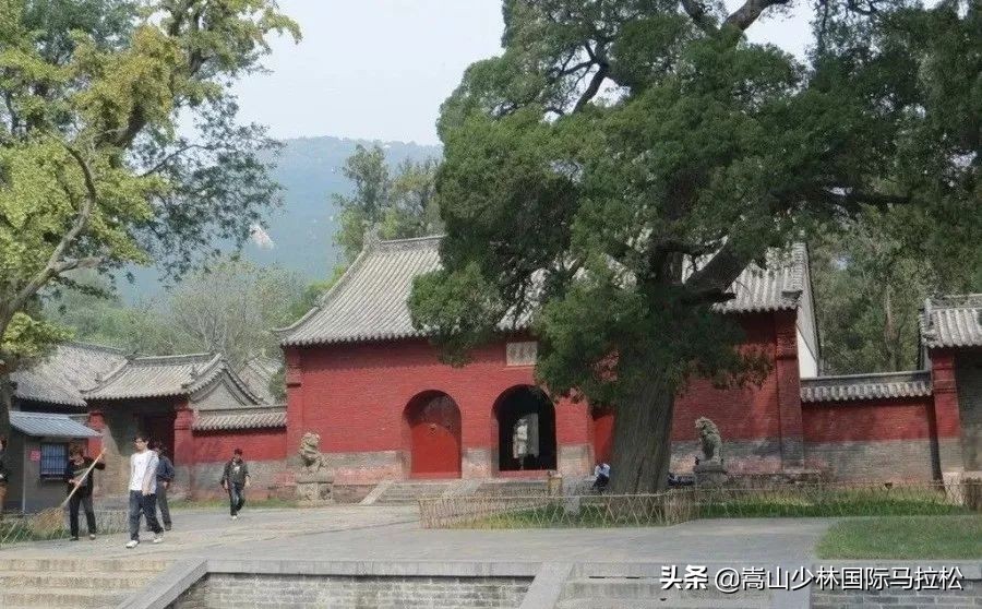 确认过眼神你就是我要遇上对的人,确认过眼神你就是我的人