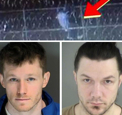 囚犯越狱失败,逃不掉的监狱