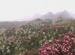 乌当区花海景区简介概况,贵阳市乌当区工程地质概况