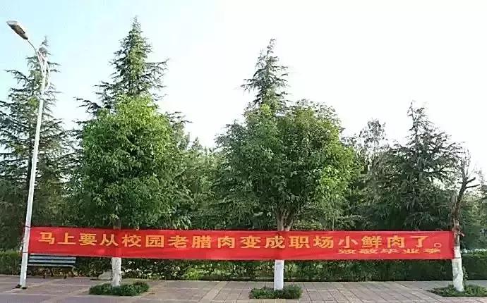 毕业季校园里这些横幅看哭了,学校毕业横幅