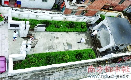 「旧事重提」东莞道滘“六一一”*案惨**：日军屠村的疼痛记忆被唤醒