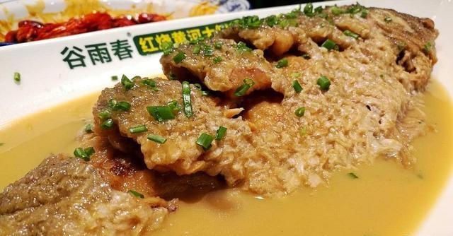 郑州没有互联网？郑州IT狗回应：因有少林寺、大鲤鱼…而幸福