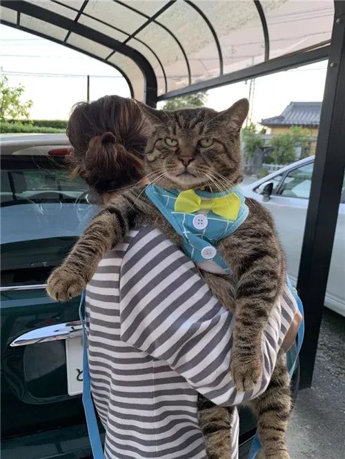 老板，这圆滚滚地怎么恢复出厂设置，说好的小可爱呢？