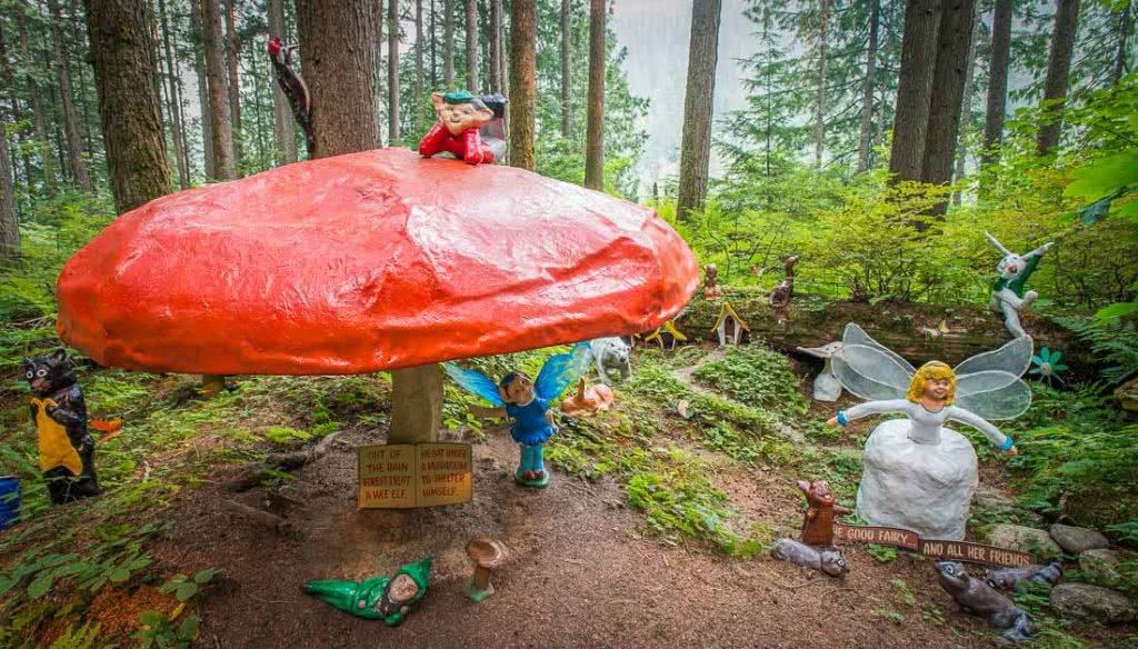 加拿大童话梦想！隐藏八百年前森林中，百万游客，老板：我不玩了
