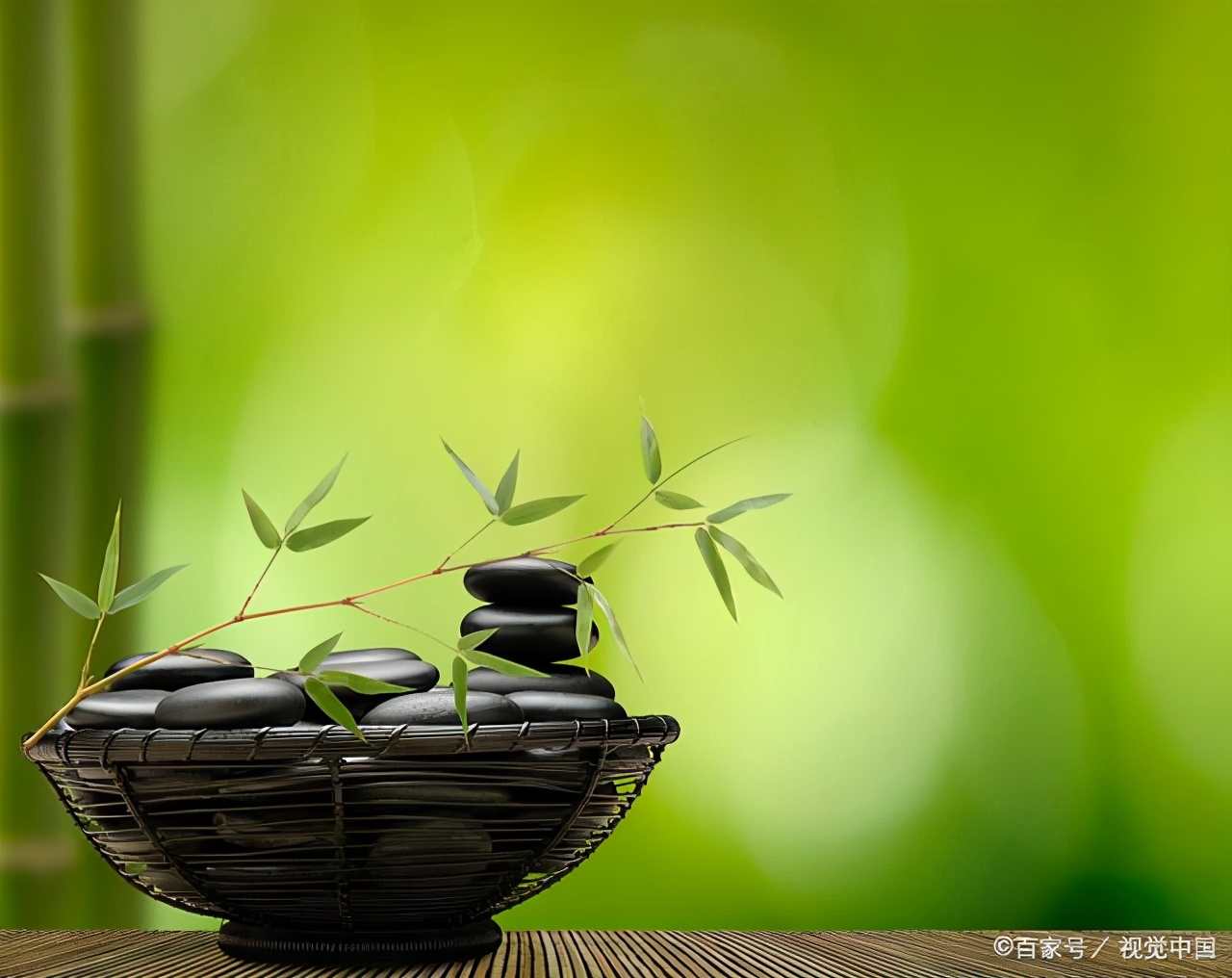 关于熊猫的诗句有哪些,关于熊猫和竹子的古诗有哪些