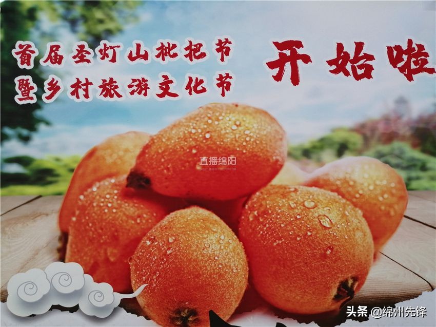 哪个地区的大五星枇杷口感最好,绵阳北川圣灯山枇杷