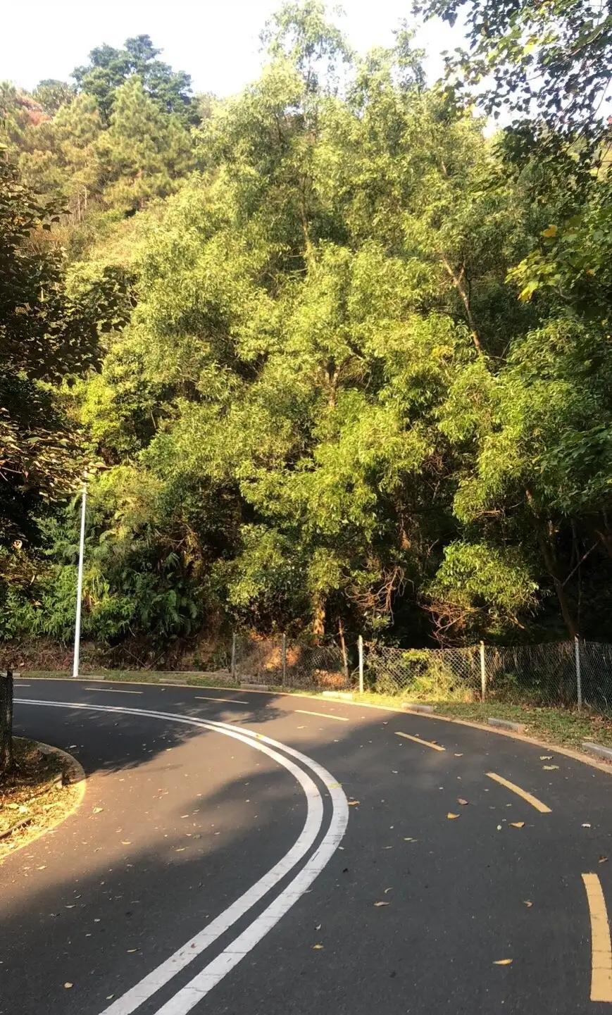 七寨湖公园别墅价格多少,七寨湖公园景点