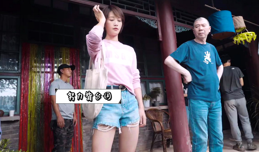 北辙南辕网剧,电视剧北辙南辕在哪播出