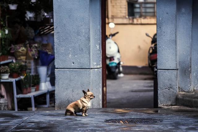 昆明周边一日游最值得去的地方,昆明周边一日游的地方推荐