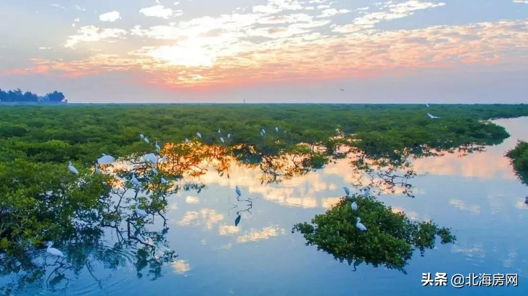 来北海旅游学一句话,来北海玩怎么说