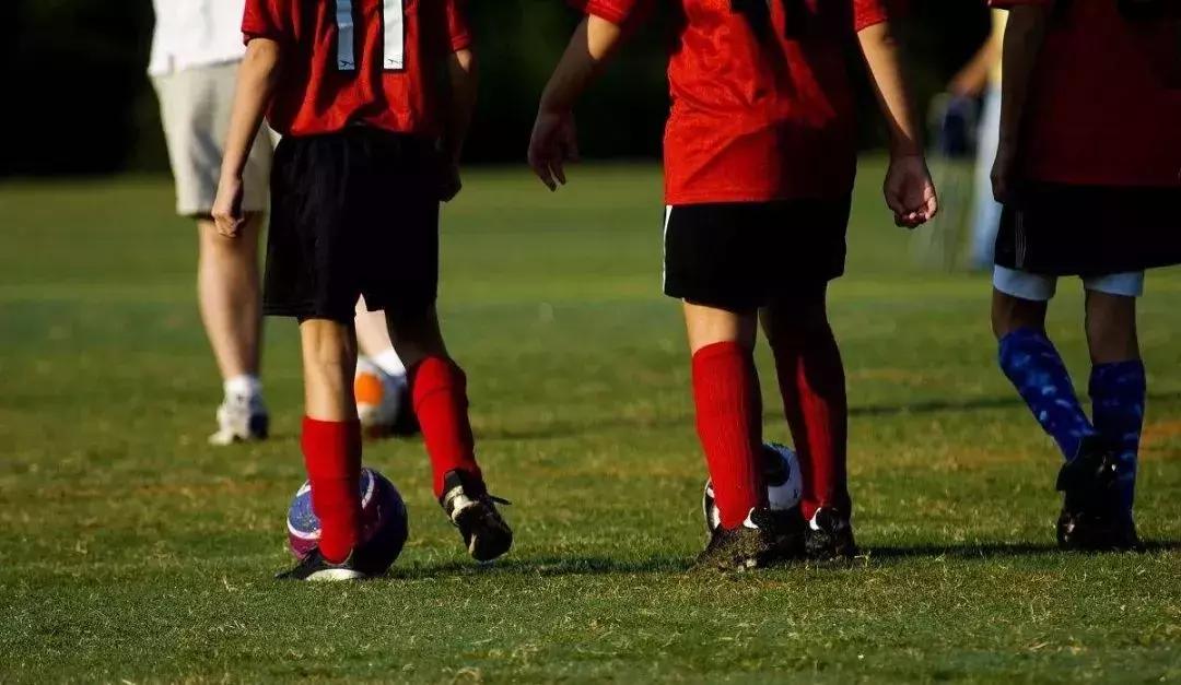 孩子之间的差距,孩子之间的教育差距