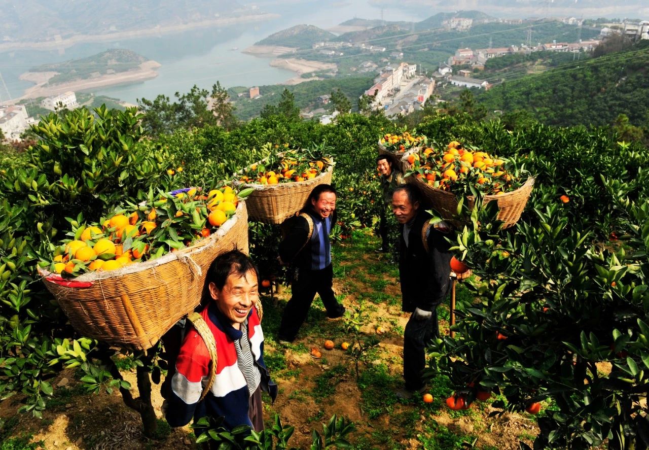 宜昌70岁以上老人免费景点,宜昌70岁高龄补贴