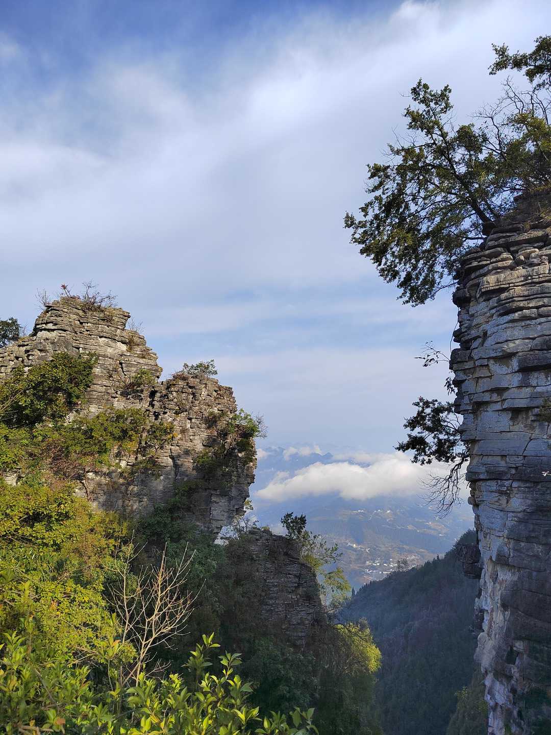 卵子可以冷冻保存吗,卵子冻存我国有多少医院可以做