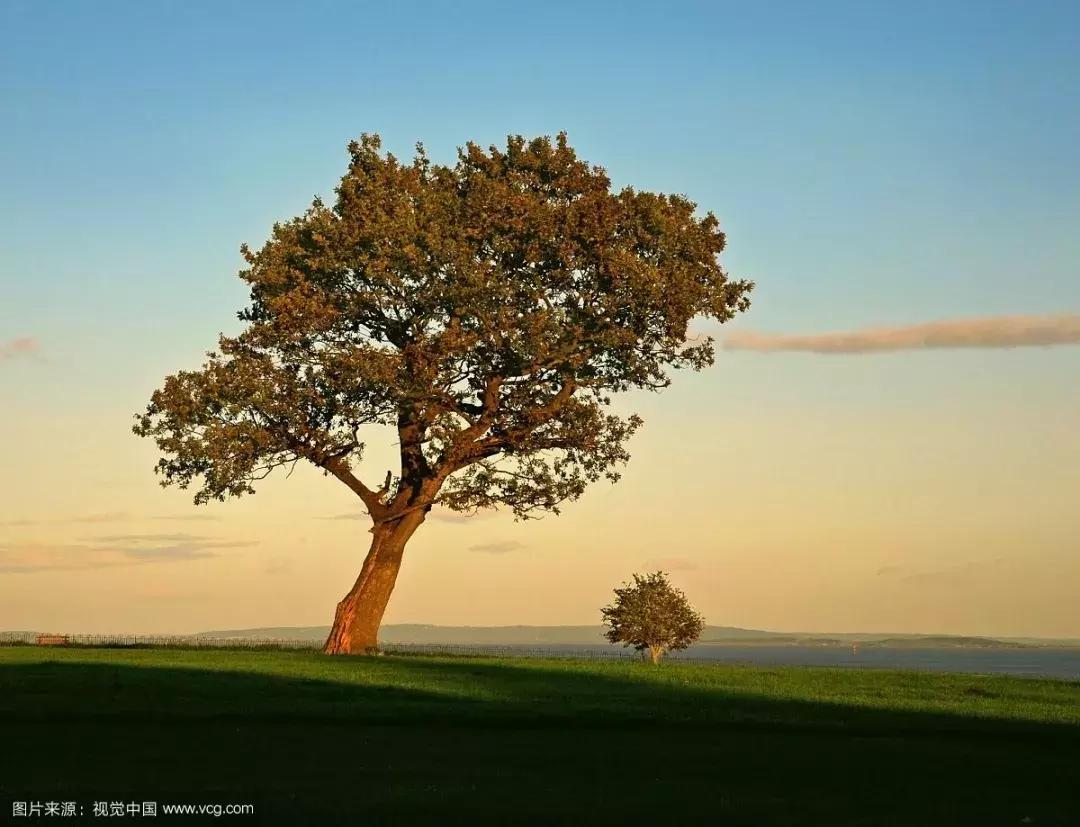 影响人一生的30篇哲理短文,影响人生的一百句名言