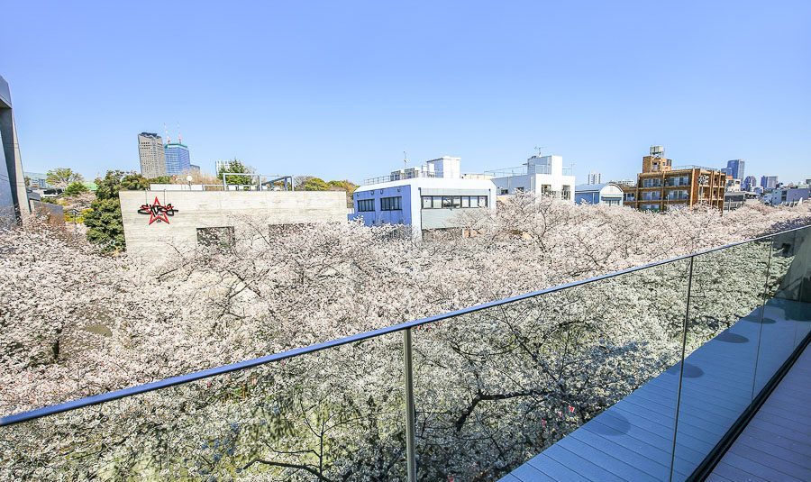 东京｜堪比艺术馆的星巴克臻选®烘培工坊樱花海中品满分咖啡