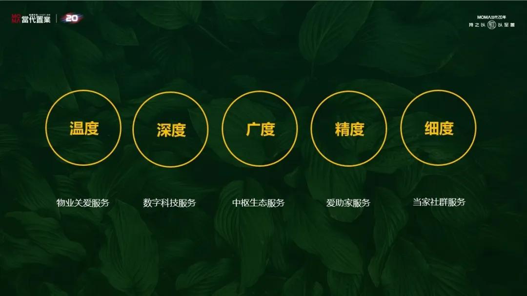 当代置业深度分析,当代置业目前资金状况