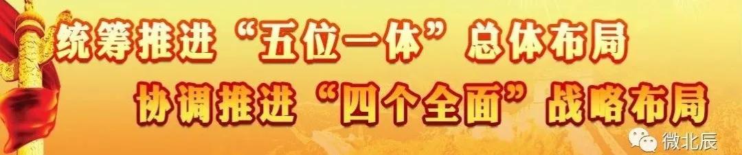 北辰最好的公立幼儿园,45所民办幼儿园