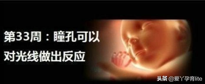 37周到40周做些什么产检,孕期产检知识大全