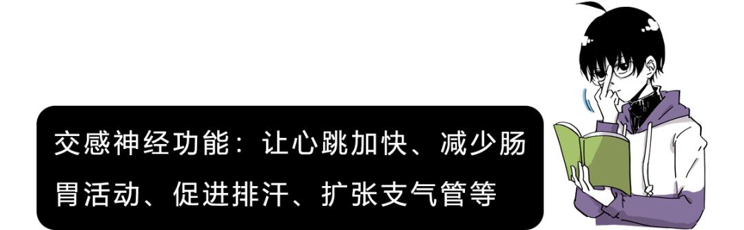 紧张想上厕所是什么原因,考试紧张想上厕所吃什么能缓解