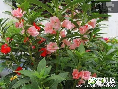 甘肃农村70后童年的回忆,白银市70后