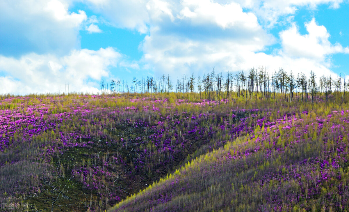 用什么方法改变土壤酸碱度,判断土壤酸碱度的最佳方法