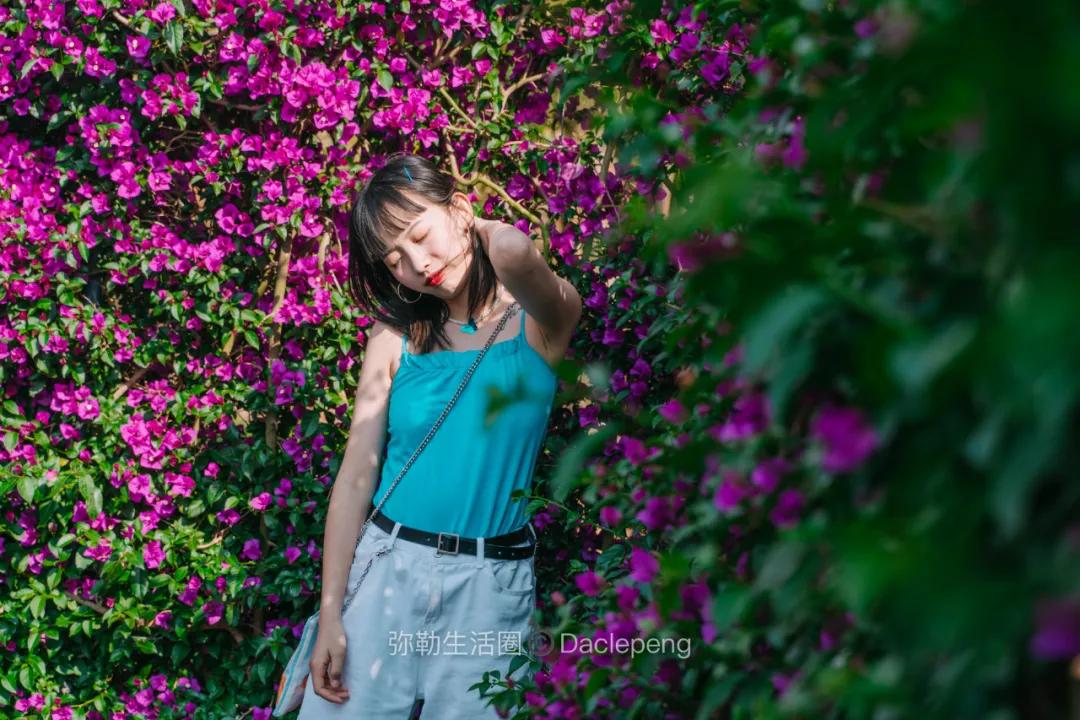 云南最美小镇图片,云南太平湖森林公园花海