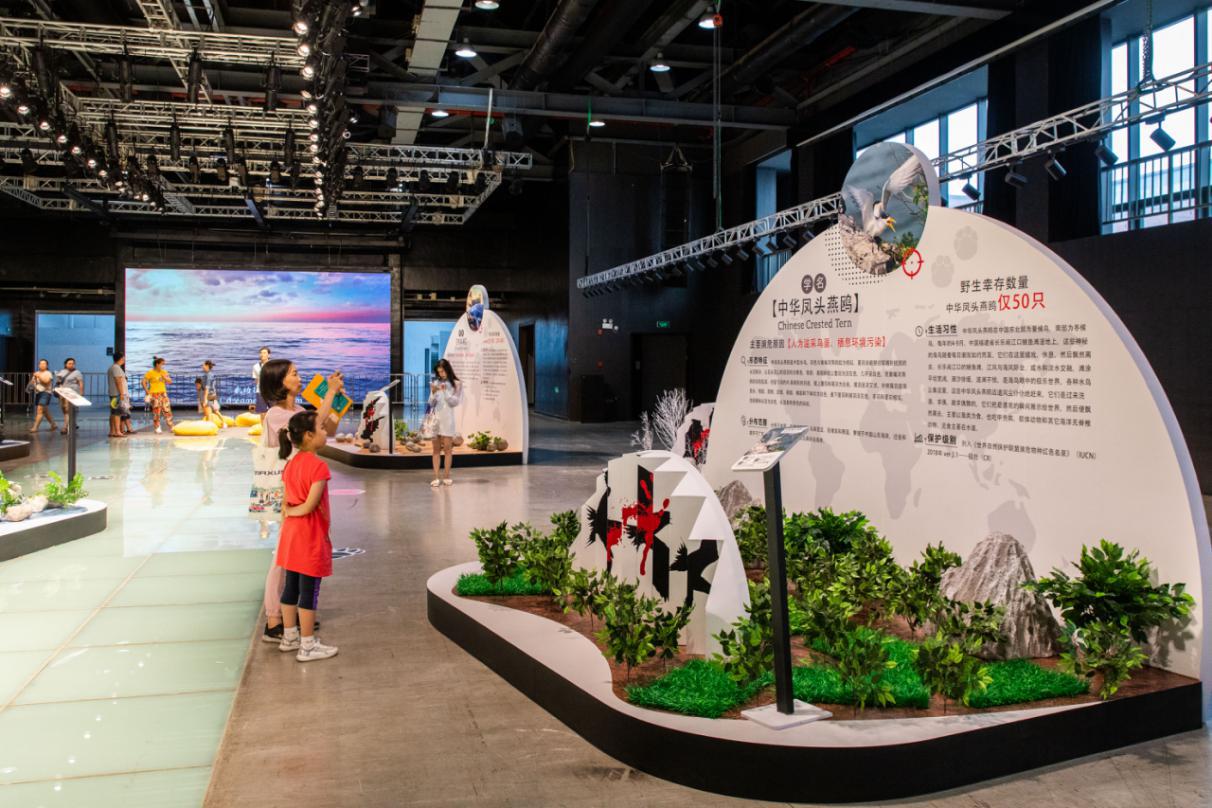 宠爱嘉年华小视频,宠爱嘉年华