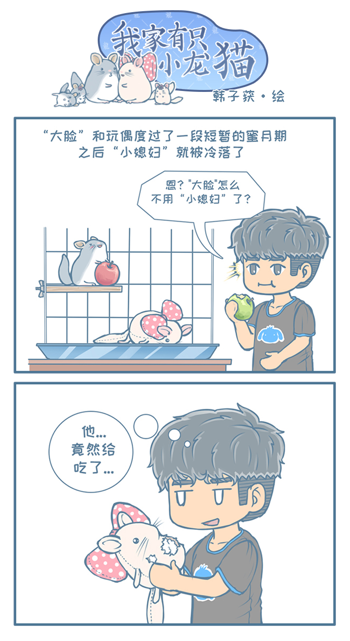 龙猫日常漫画合集,龙猫原创漫画2019