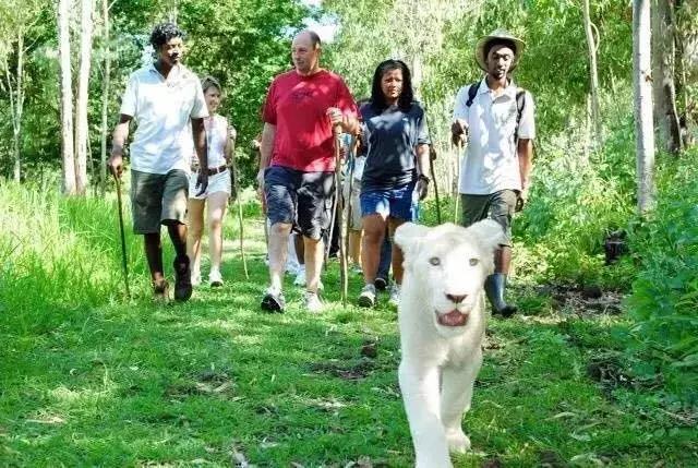 白本护照出境法国旅游免签吗,白本护照旅游去哪个国家比较好