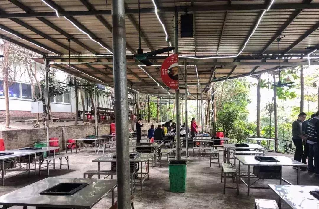 广州周末踏青好去处人少的地方,适合清明踏青的地方广州有哪些