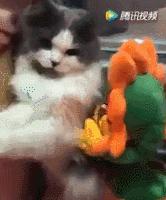 抖音上最火的十款玩具,抖音上很火的十款小玩具