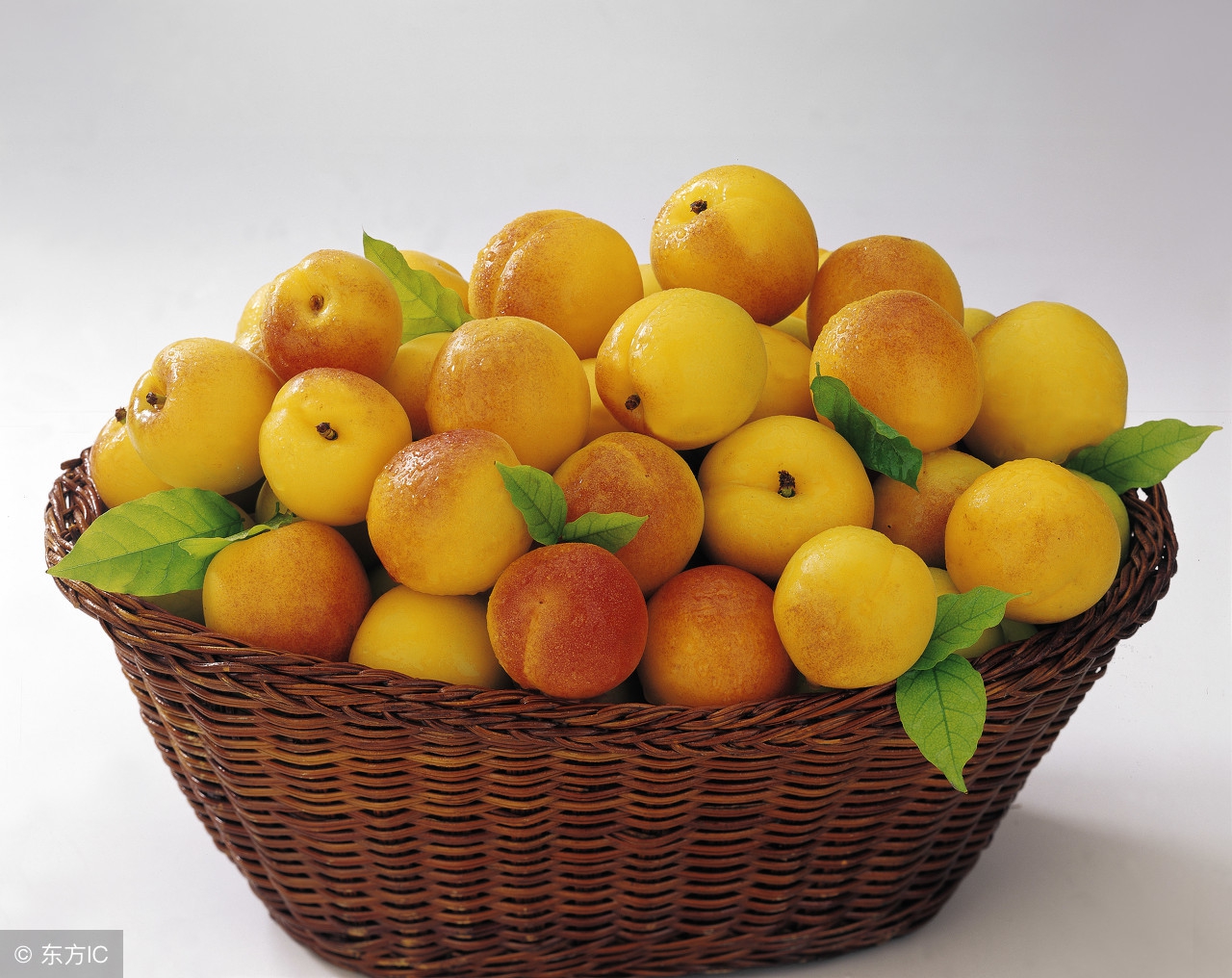 骨质疏松患者饮食上注意什么,66岁正常老人饮食注意什么