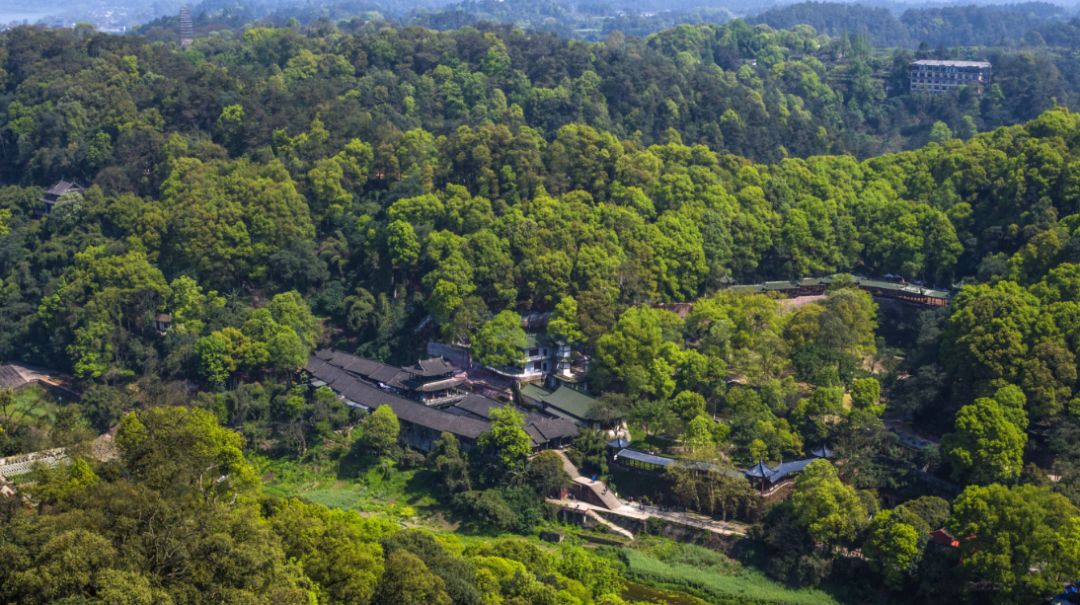 大年初一云游乐山大佛,观光乐山大佛
