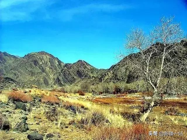 疆内哪里好玩风景好夏天,入疆必看景点大全