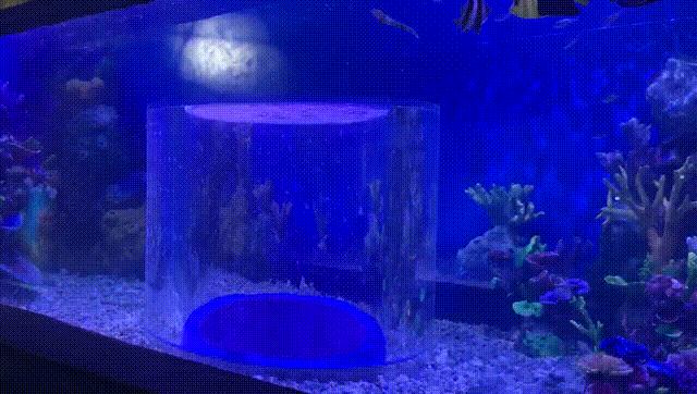 100个梦幻乐园,超2000平的梦幻王国游乐场