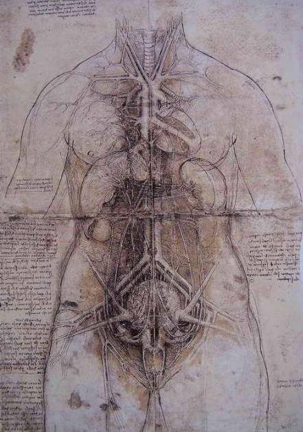 输血的基本原理是什么,输血的科学常识