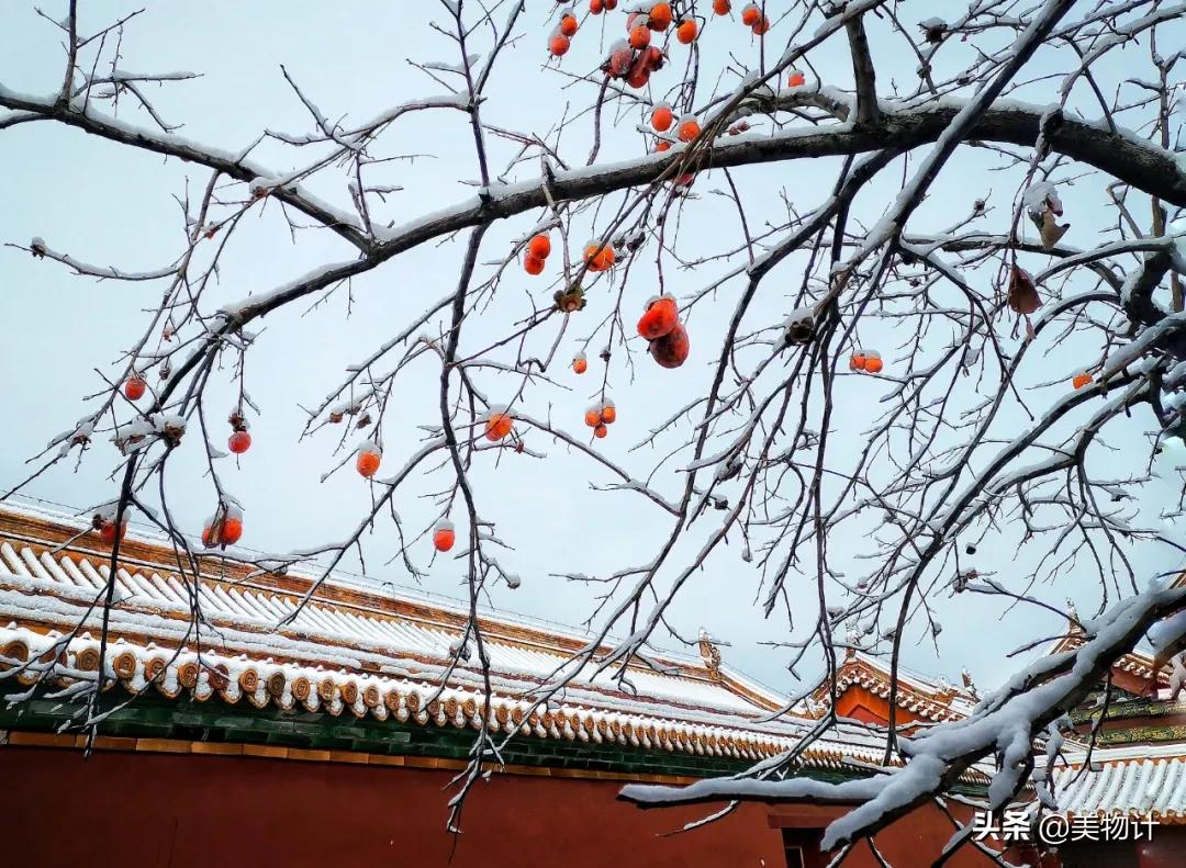 有冬要来有雪入怀泣不成声,有冬要来有雨入怀