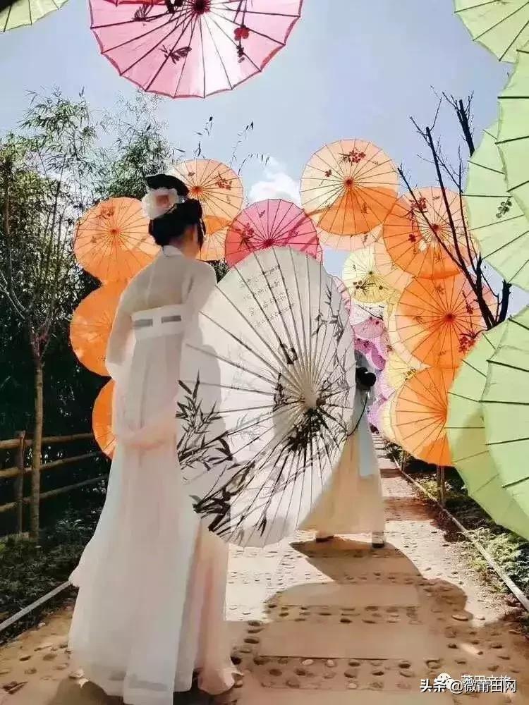 湄洲岛好玩还是九龙谷,去莆田先到九龙谷还是湄洲岛