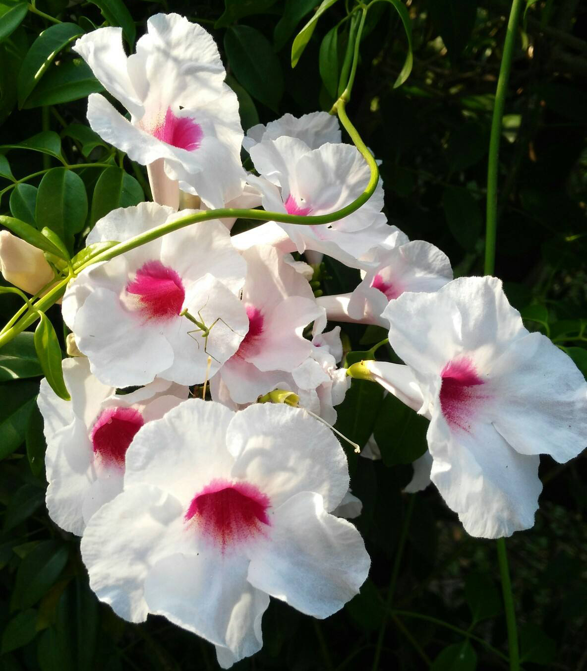 说文解字第0019集,说文解字第143课全集