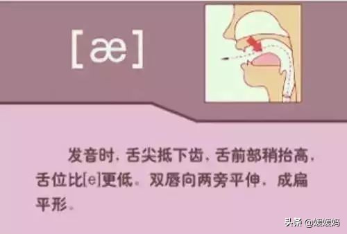 音标教学视频48个快速记忆法,英语48个音标发音教程视频