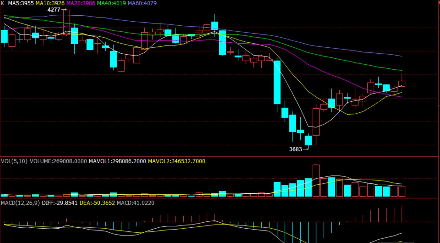 鸡蛋期货行情分析及投资指南,鸡蛋批发创业项目计划书