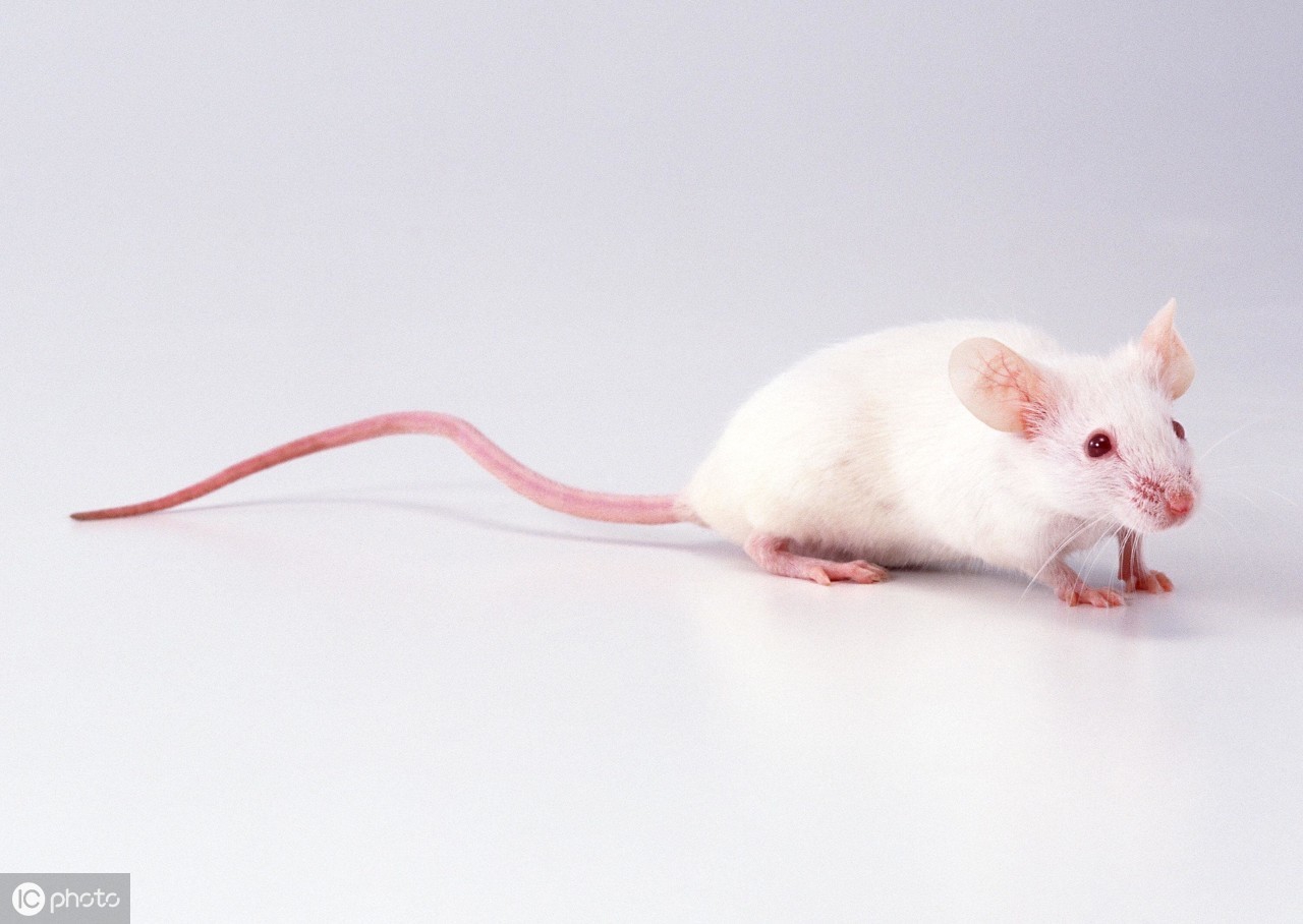 按键精灵鼠标变量怎么使用,按键精灵break命令