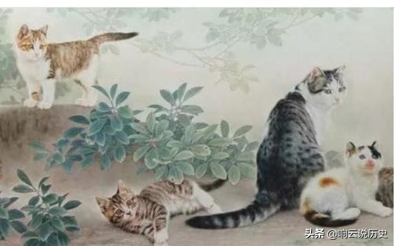 李时珍为什么说猫不能吃呢,猫为什么不能吃李时珍给出答案