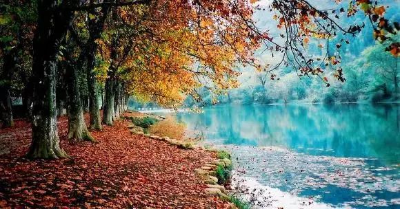 多彩贵州酱香经典,多彩贵州美酒53度酱香