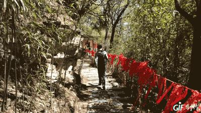 专治各种恐高症的玻璃栈道,少华山玻璃栈道旅游攻略